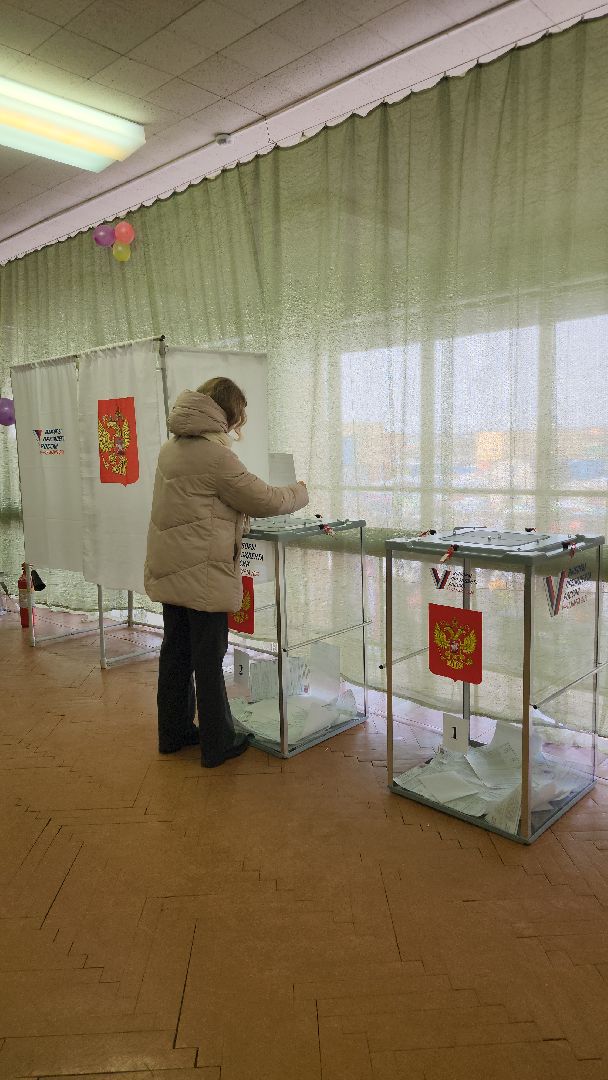 выборы Президента, голосование, избирательная комиссия, Старая Купавна, Богородский городской округ,