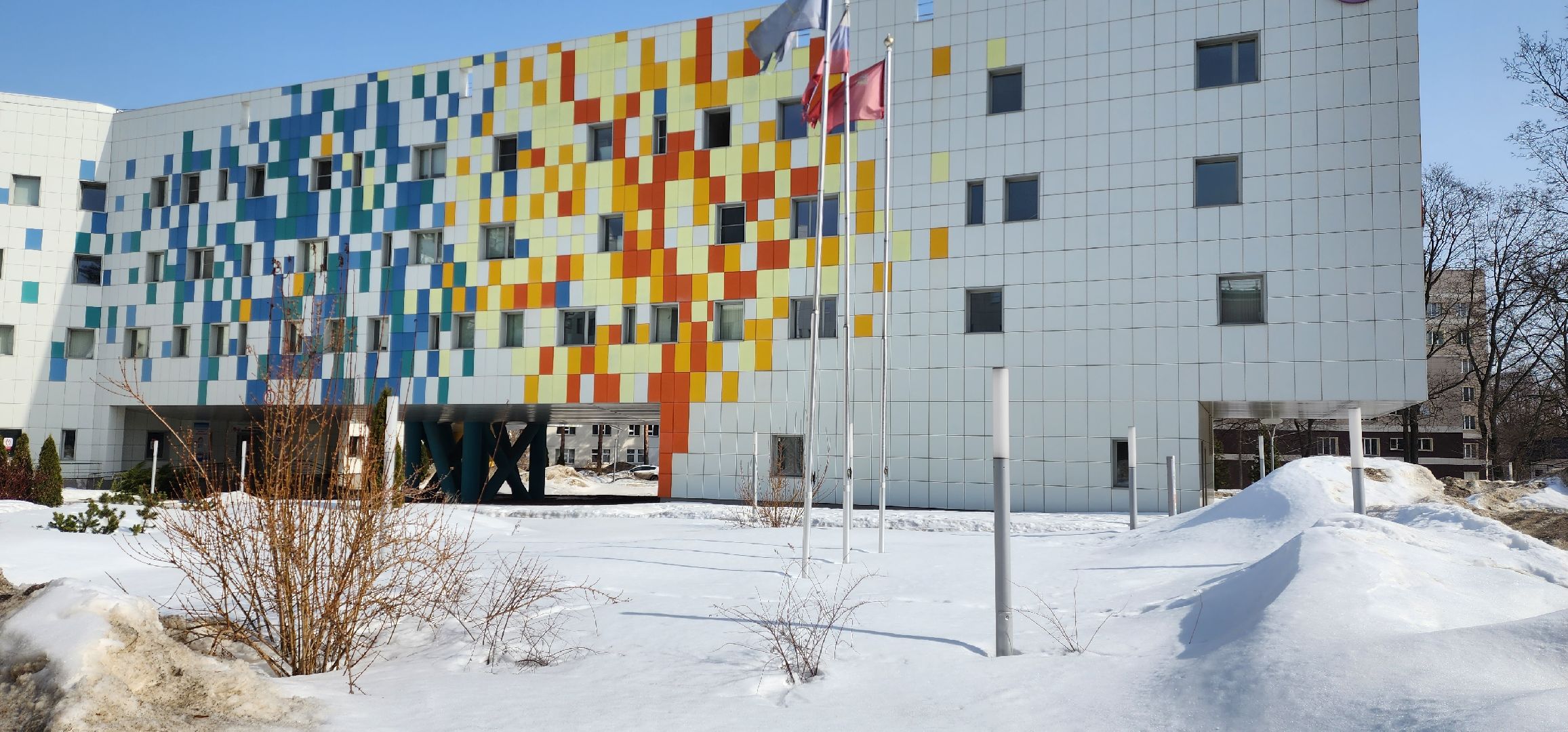 раменское, выборы 2024, голосование в центре материнства и детства в раменском,