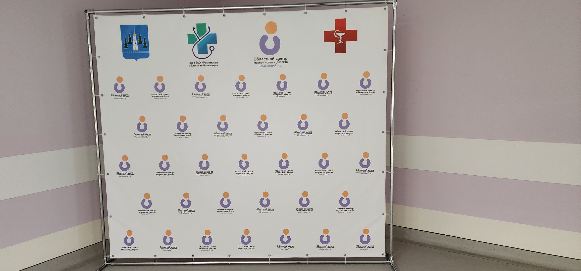 раменское, выборы 2024, голосование в центре материнства и детства в раменском,