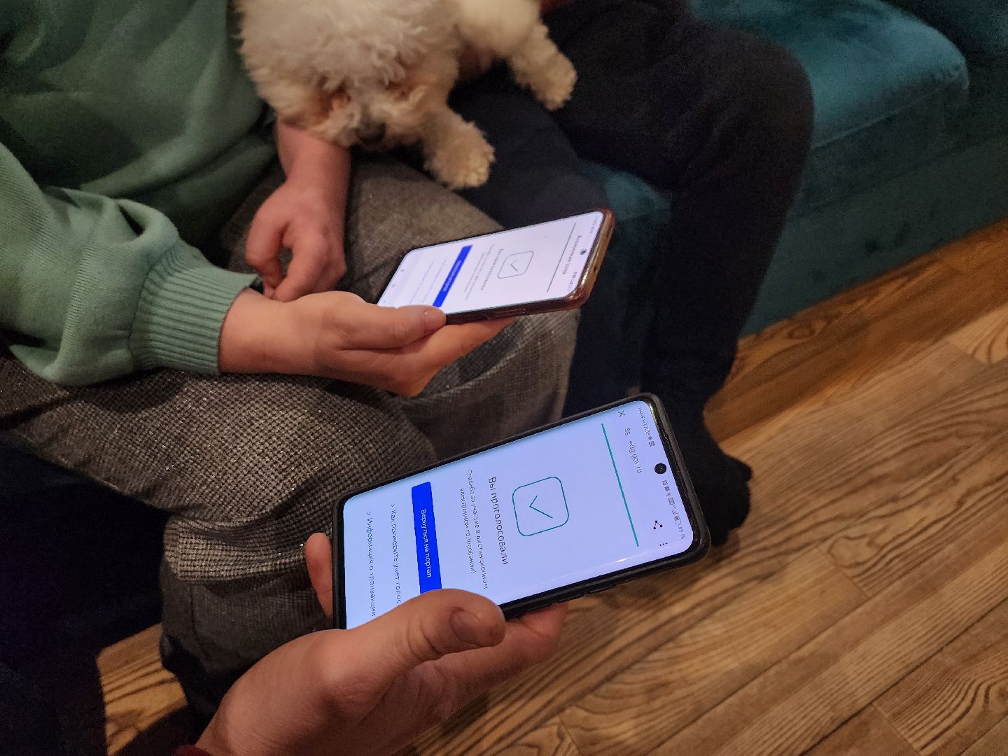 воскресенск, выборы президента 2024, дистанционное электронное голосование, многодетная семья, жители, выборы, выборы 2024, выборы президента, выборы президента россии,