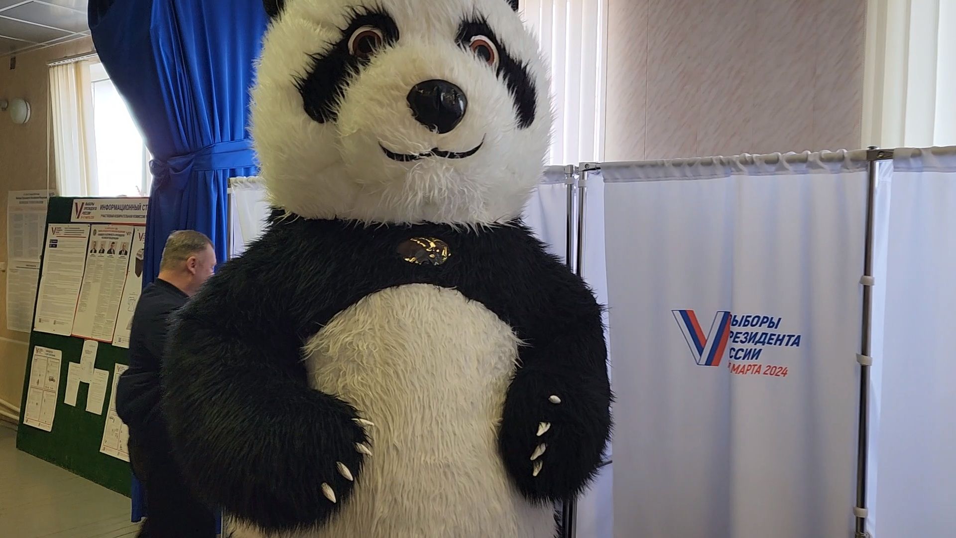 выборы, выборы 2024, выборы президента 2024,