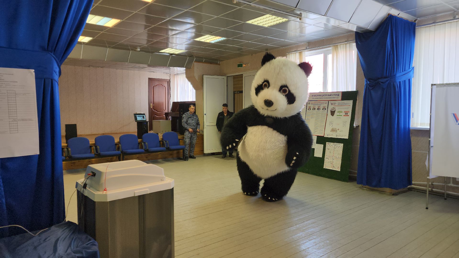 выборы, выборы 2024, выборы президента 2024,