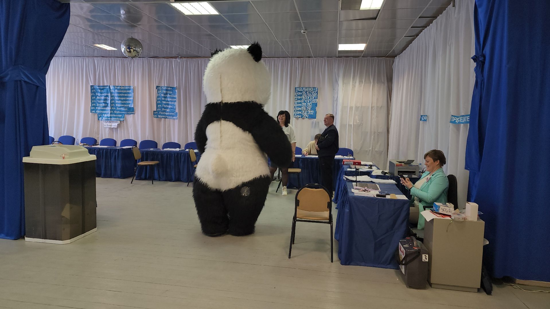 выборы, выборы 2024, выборы президента 2024,