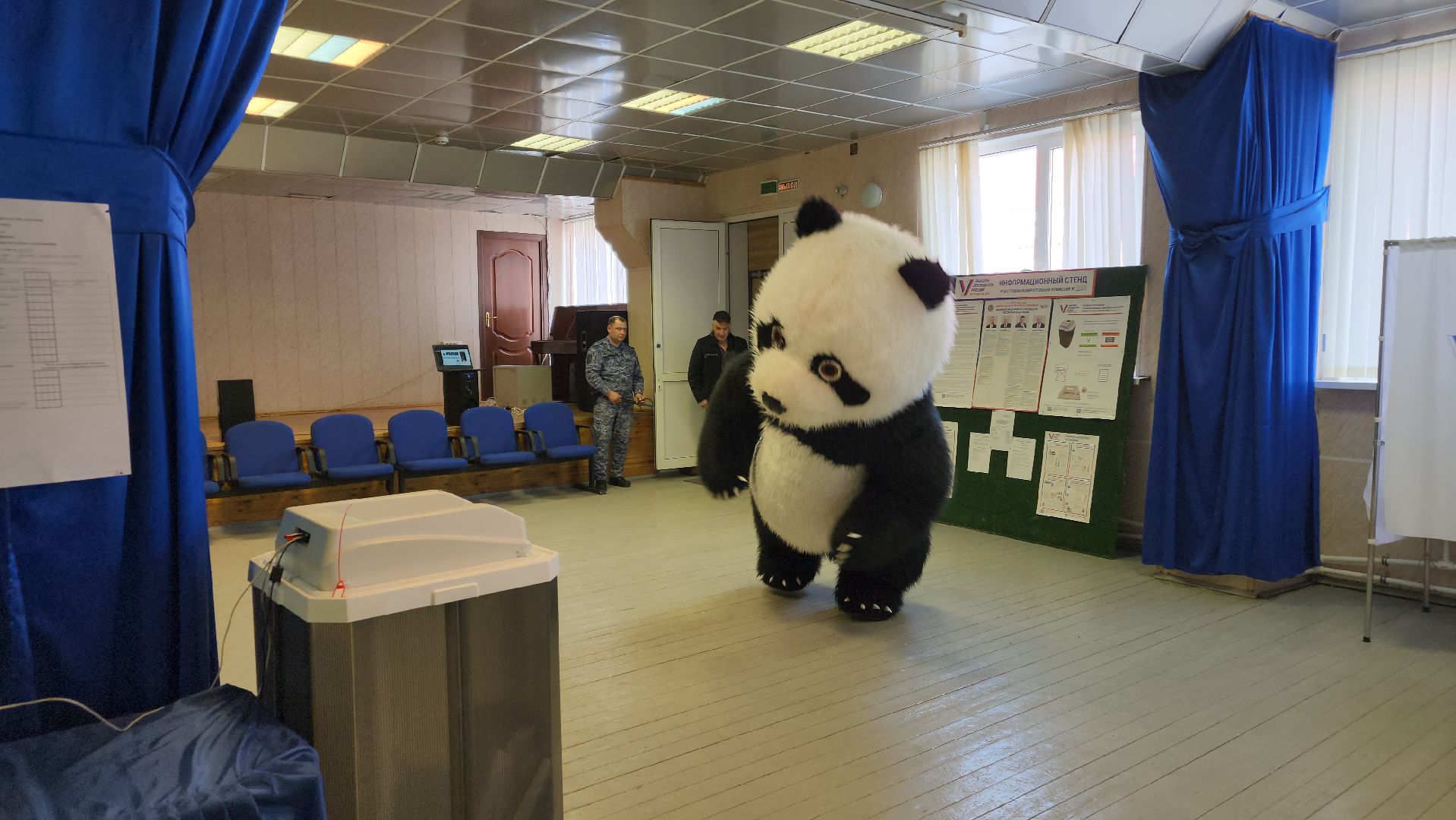 выборы, выборы 2024, выборы президента 2024,