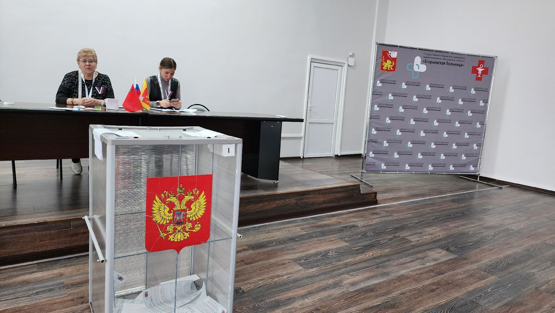 выборы, подмосковье, Московская область, Егорьевск, выборы президента,