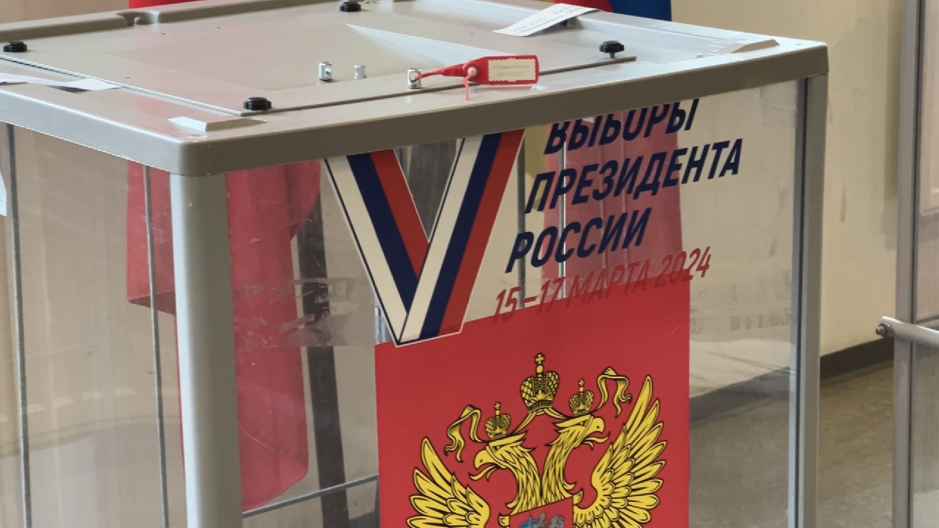 химки, выборы 2024, выборы президента 2024,