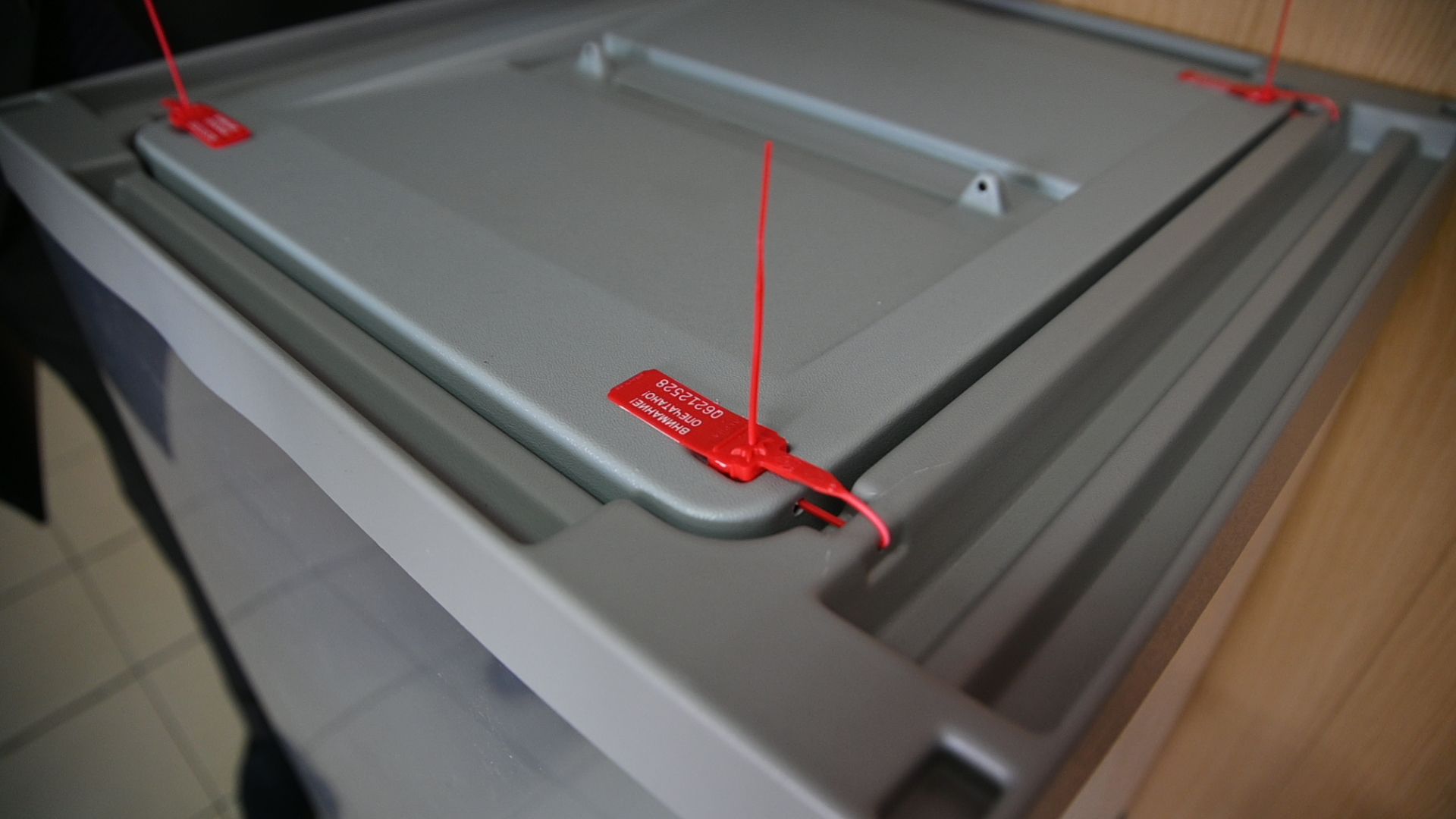 кашира, выборы, голосование, сизо-5, обвиняемые, выборы президента 2024,