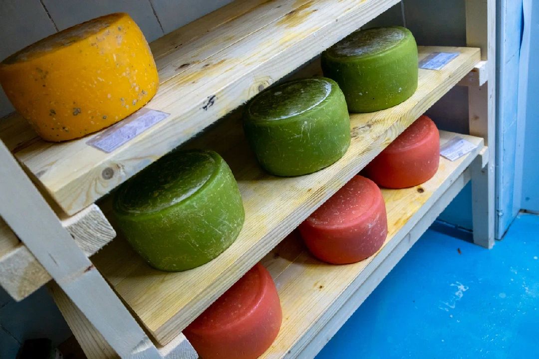 Экономика, производство, сыр, Альдини, Заголовацкий, Орехово-Зуево, Соболево