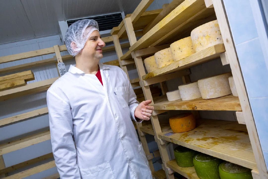 Экономика, производство, сыр, Альдини, Заголовацкий, Орехово-Зуево, Соболево