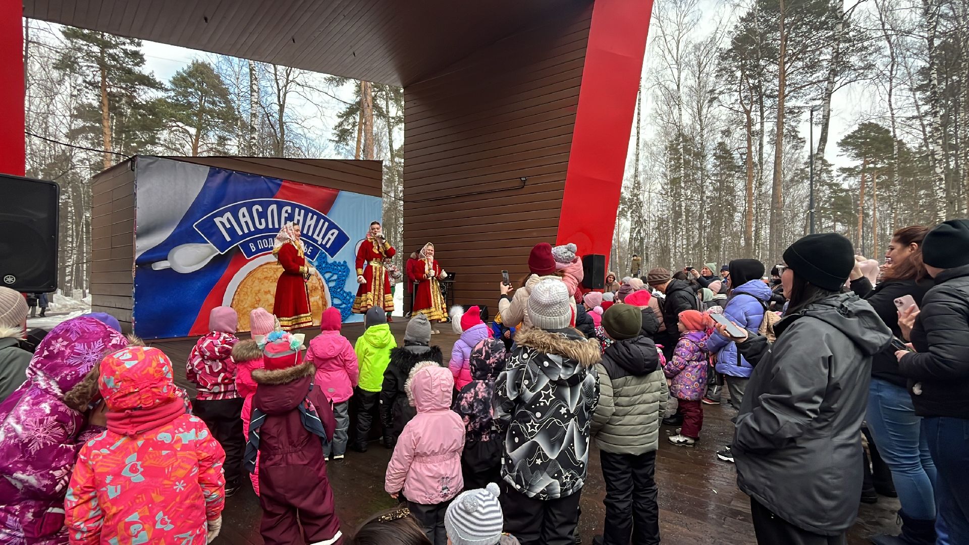 масленица, масленичные гуляния, парки балашихи,