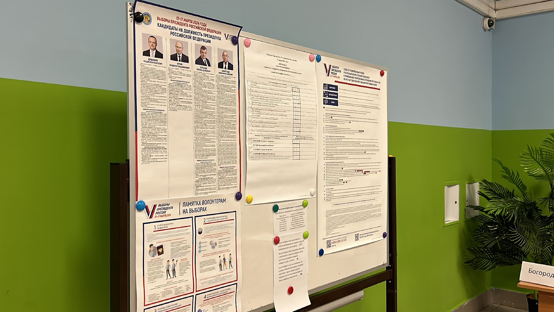 голосование, выборы, депутат, выборы президента, щёлково,