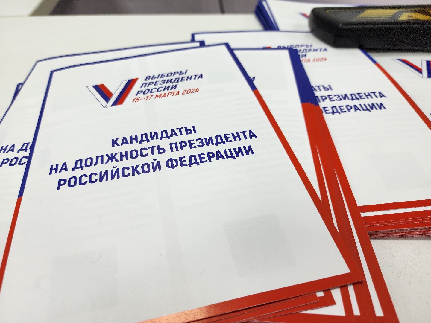 выборы 2024, выборы президента, выборы президента 2024, выборы президента россии, выборы президента рф, выборы президента рф 2024, выборы электронное голосование, руза,