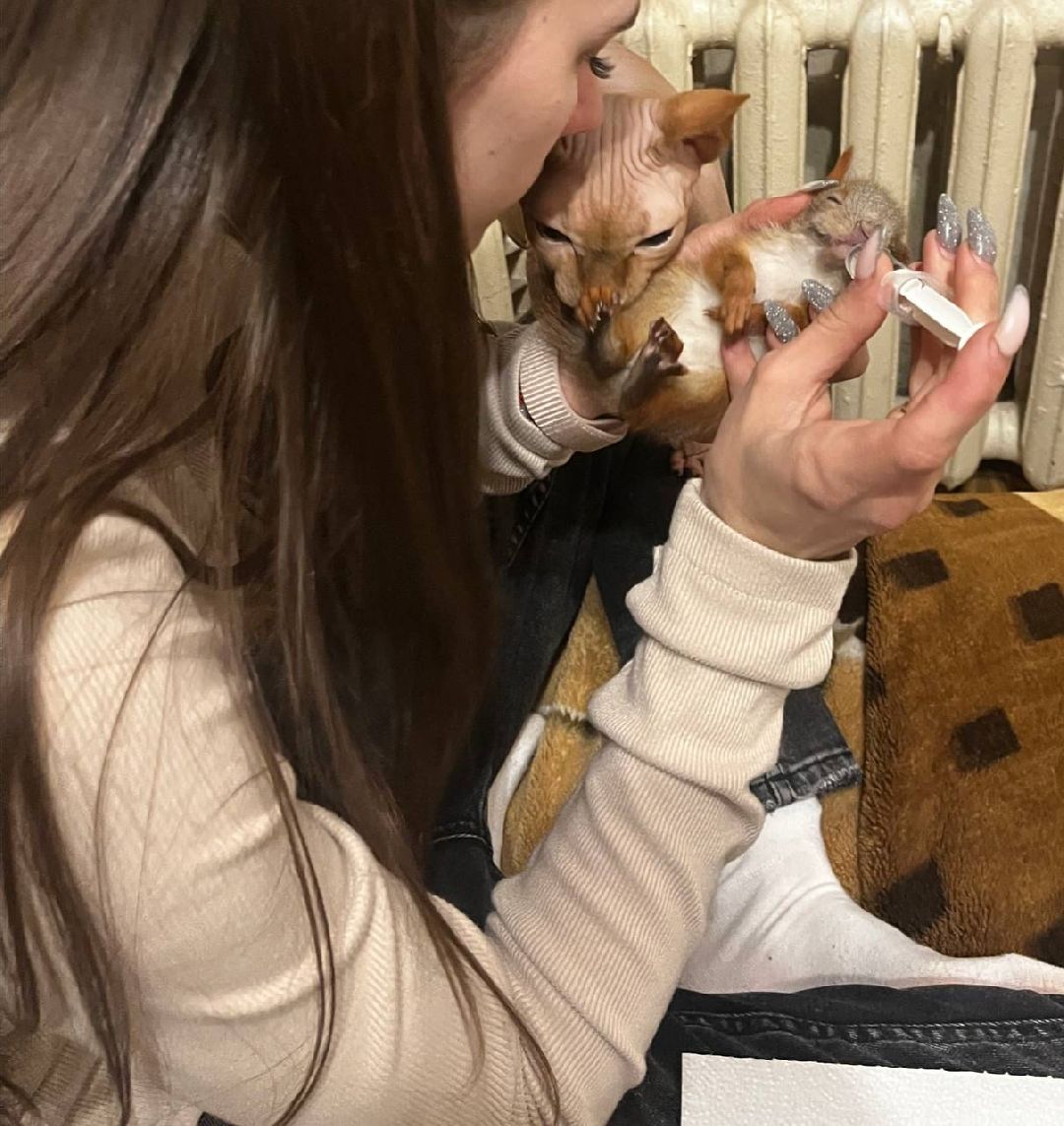 Донбасс, Горловка, Артобстрел, Спасение, Одинцово, Белка