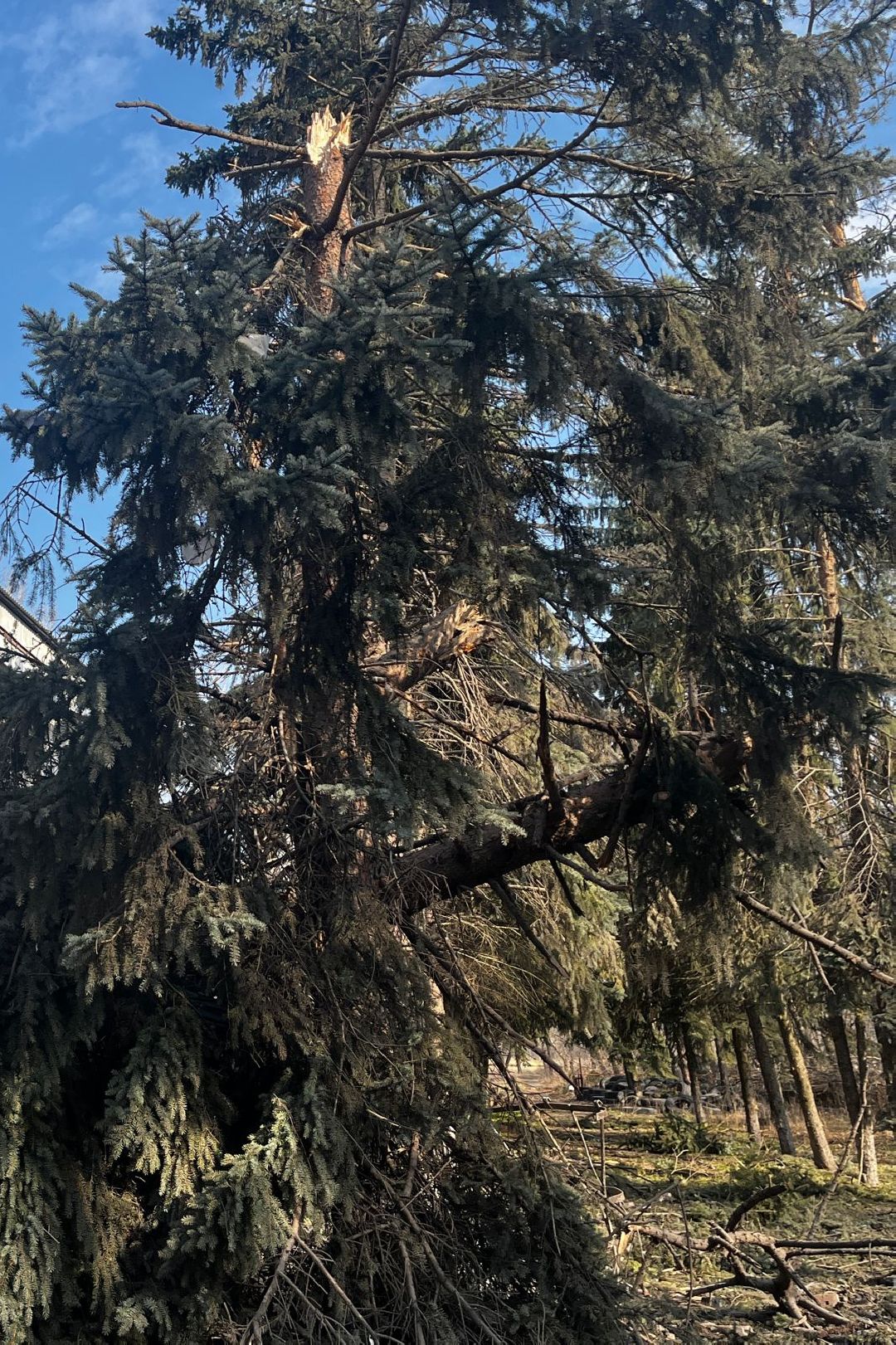 Донбасс, Горловка, Артобстрел, Спасение, Одинцово, Белка