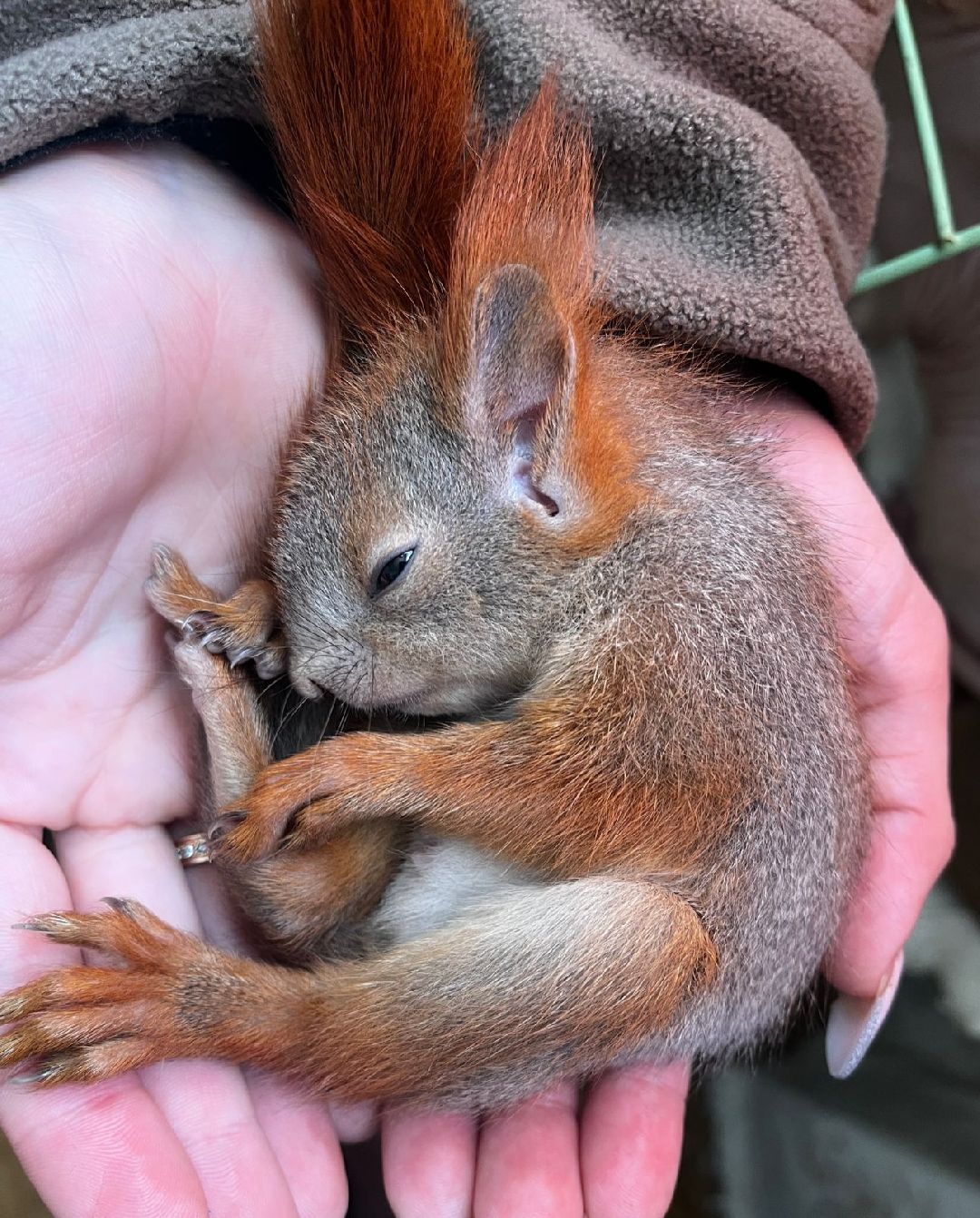 Донбасс, Горловка, Артобстрел, Спасение, Одинцово, Белка