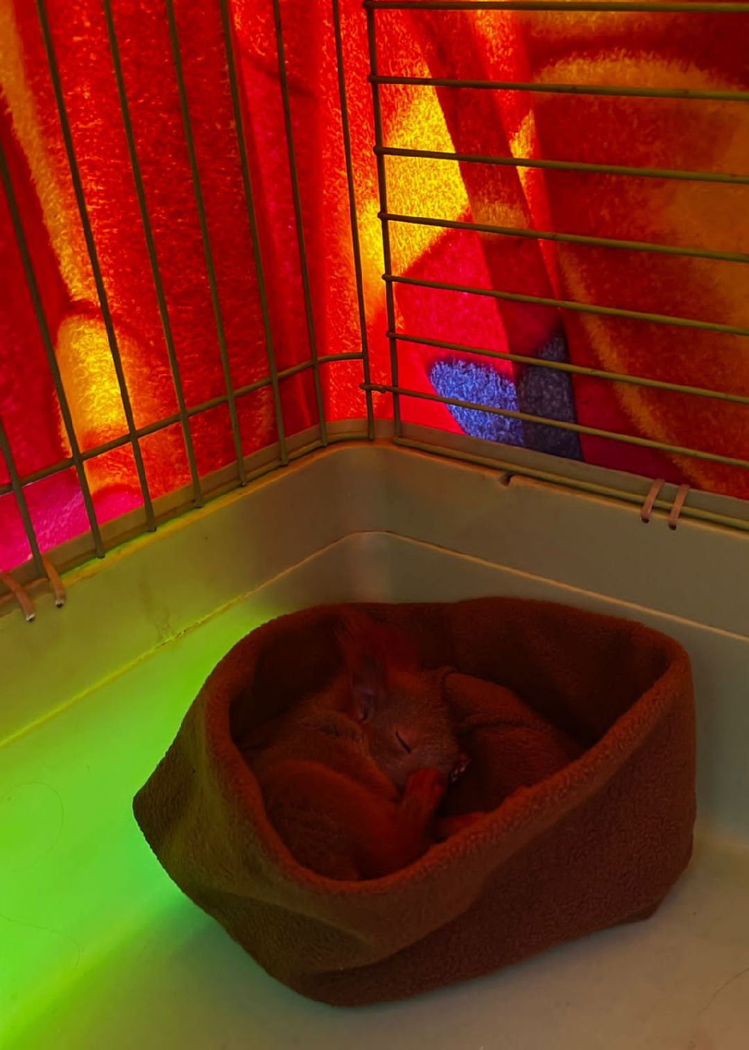 Донбасс, Горловка, Артобстрел, Спасение, Одинцово, Белка