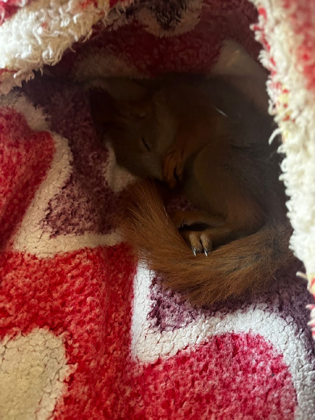 Донбасс, Горловка, Артобстрел, Спасение, Одинцово, Белка