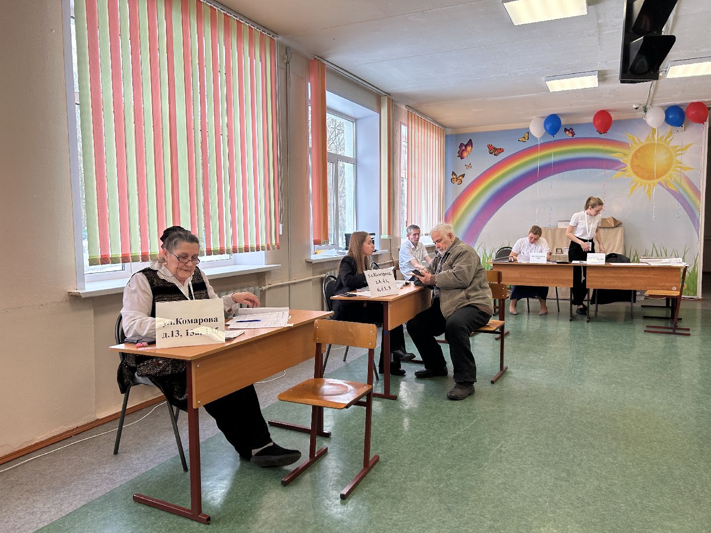 выборы, щёлково, голосование,