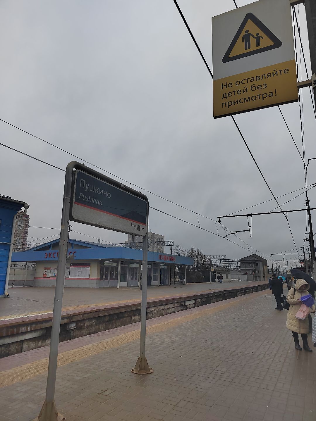 Пушкино, Пушкинский округ, транспорт, полиция, РЖД, Московская область