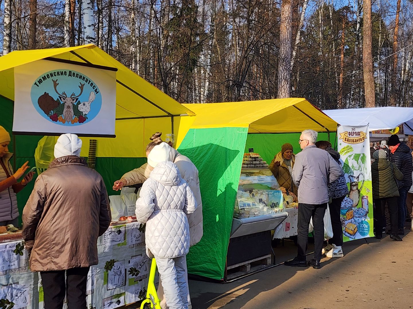ногинск, масленица, парки подмосковья,
