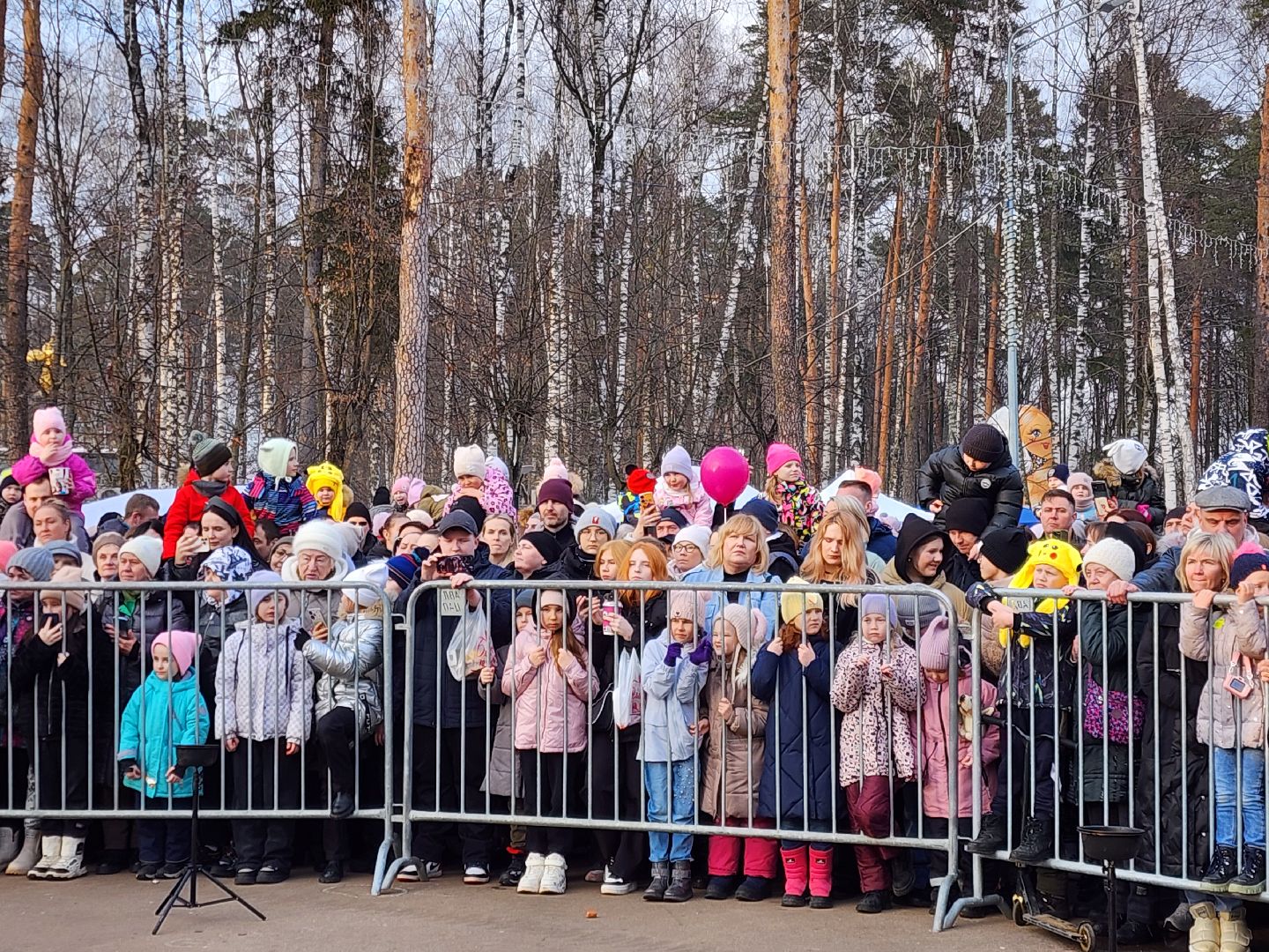 ногинск, масленица, парки подмосковья,