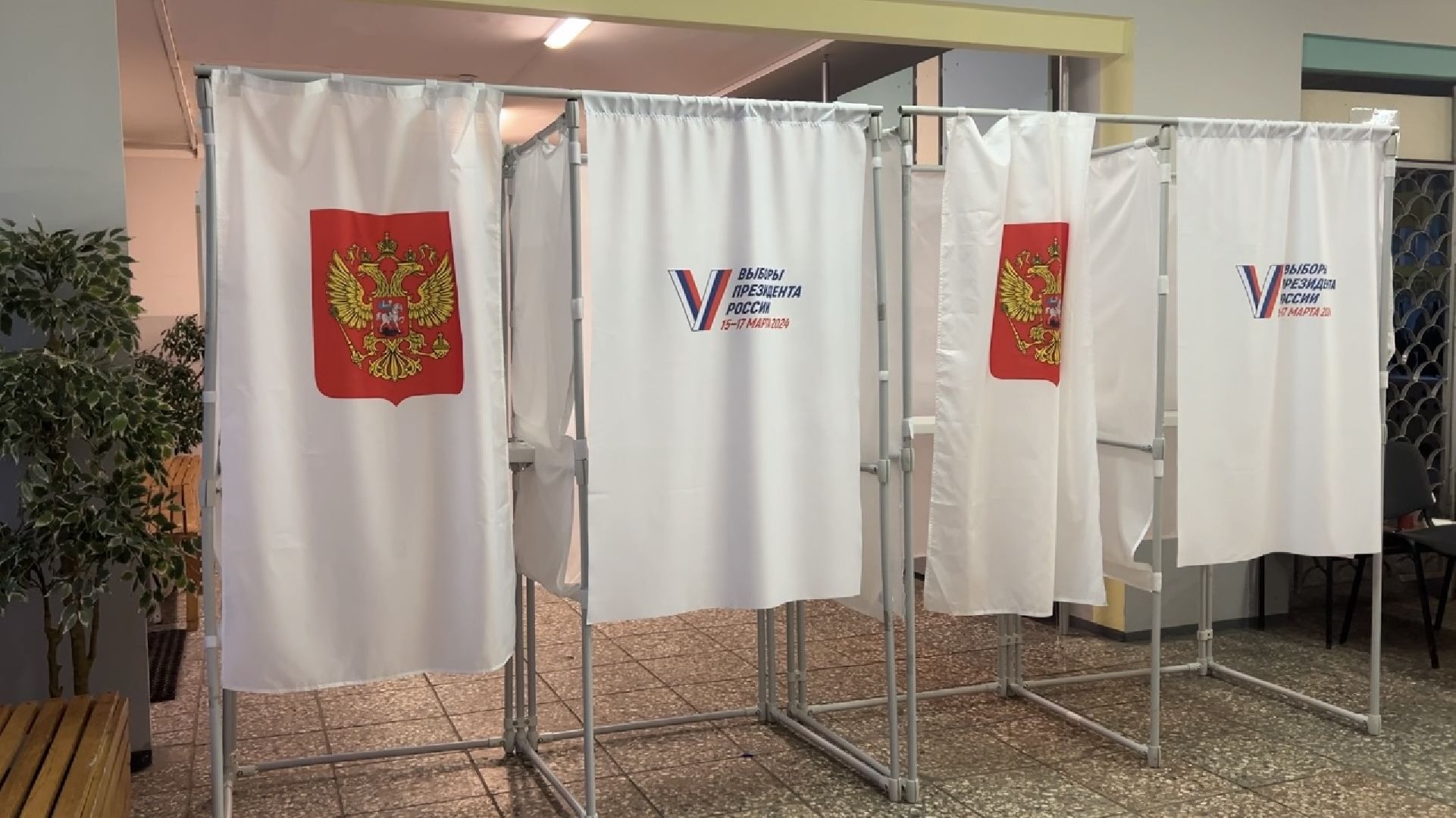 химки, выборы 2024, выборы президента 2024,