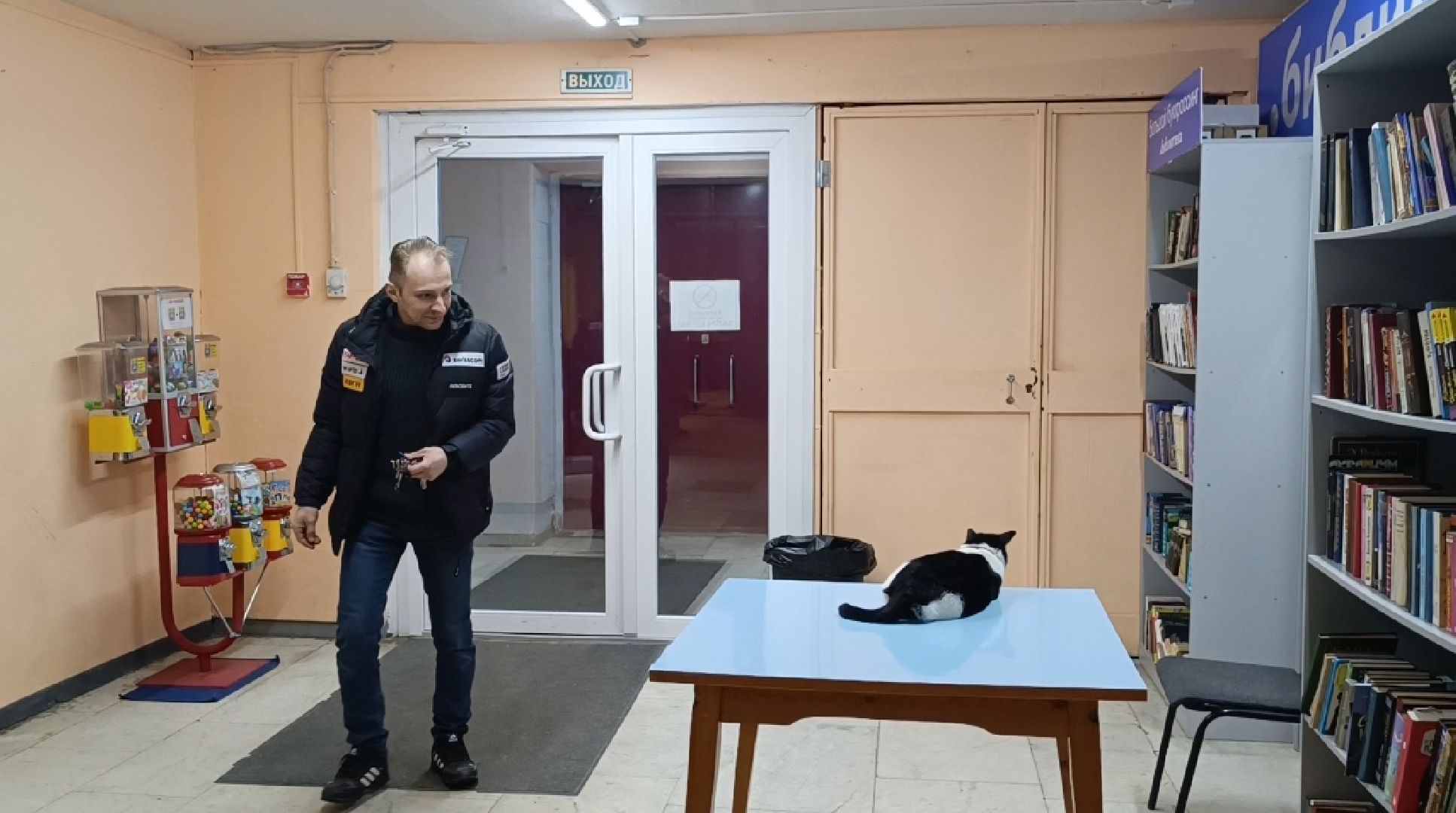 выбооры президента, кошка, лобня,