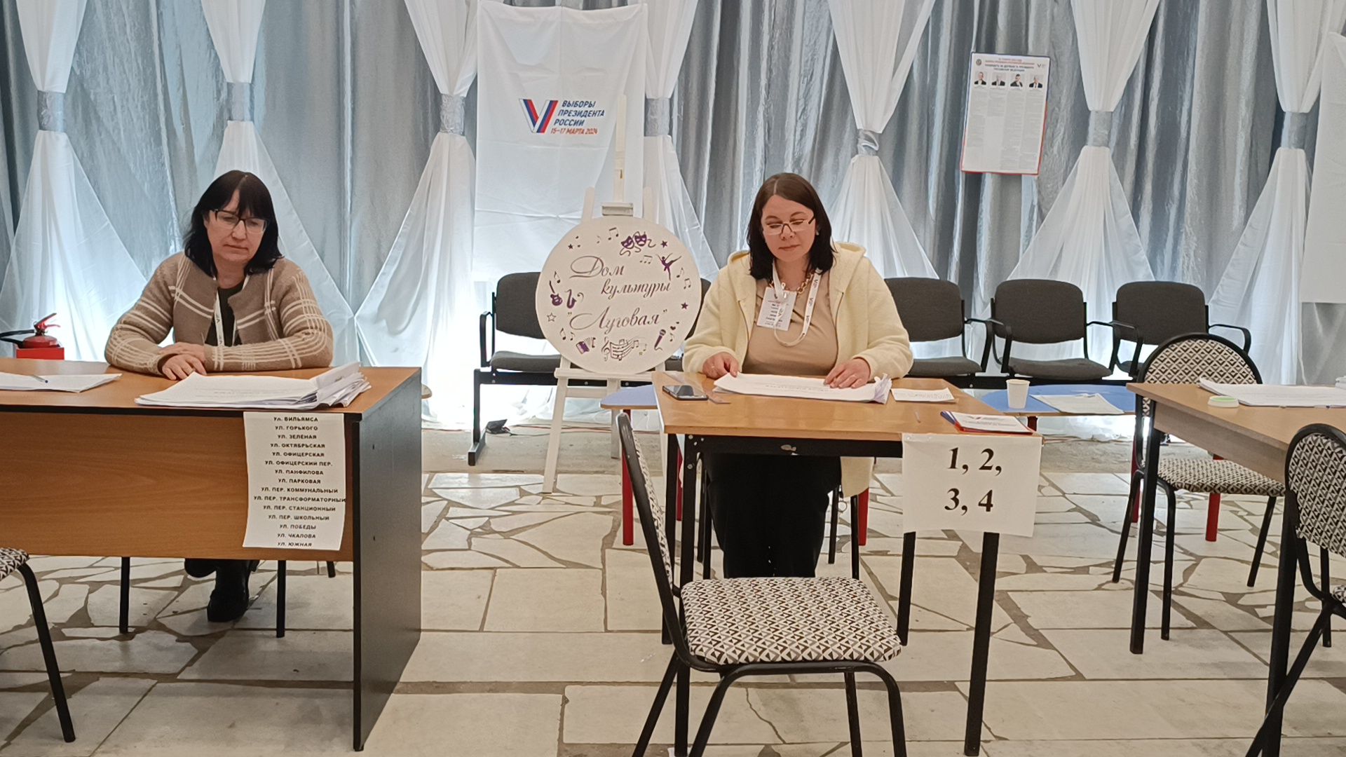 выбооры президента, кошка, лобня,