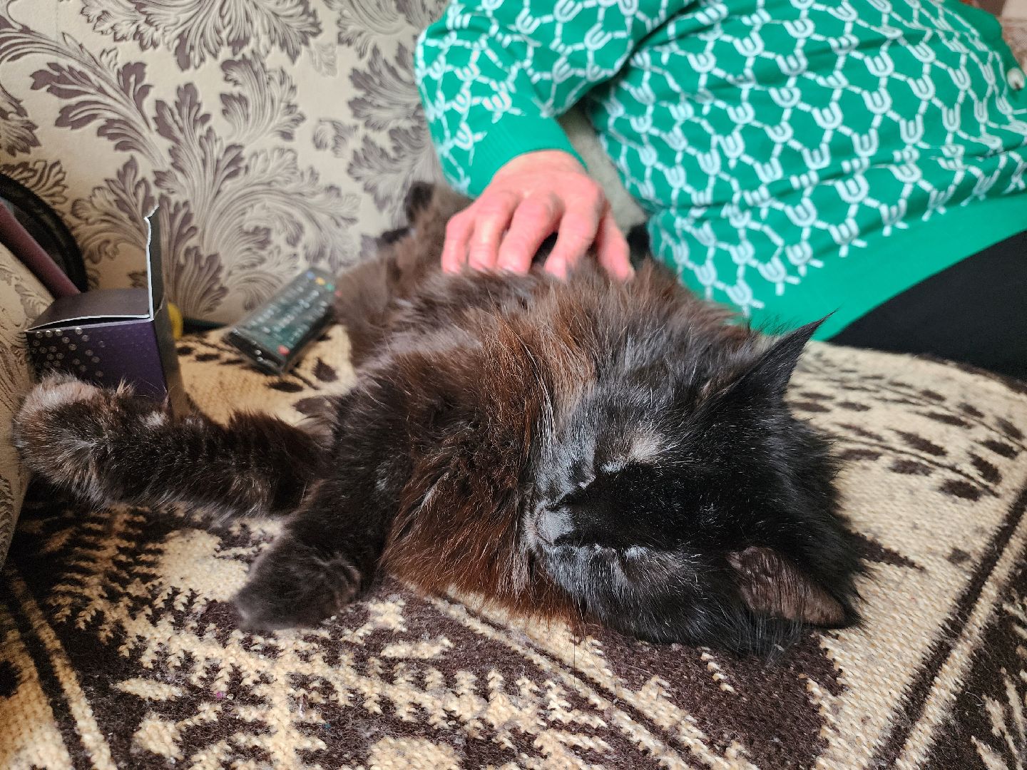 Запрудня, талдомский округ, выборы 2024, голосование на дому,