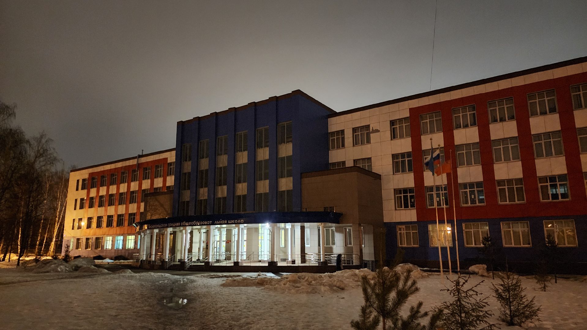 Одинцово, лесной городок, выборы 2024,