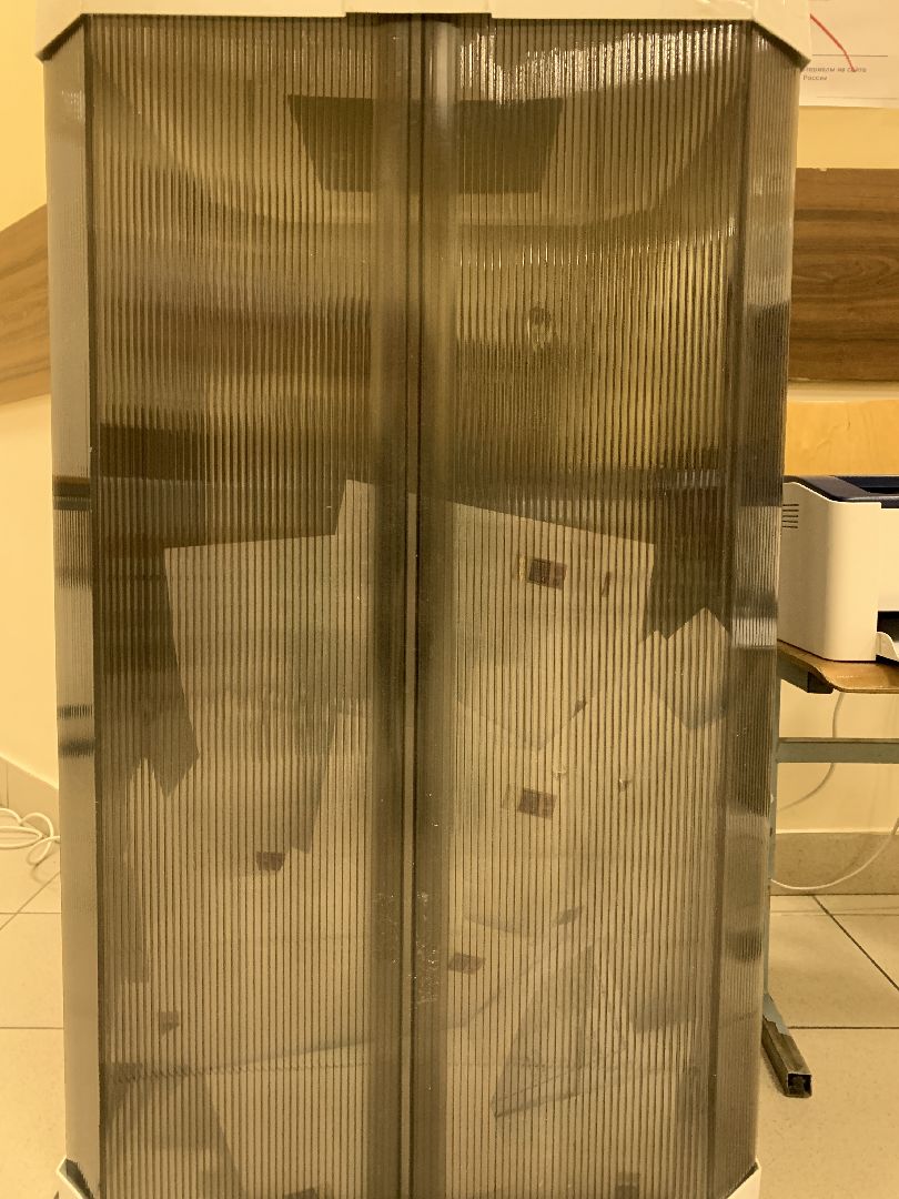 Балашиха, Подмосковье, выборы президента россии,