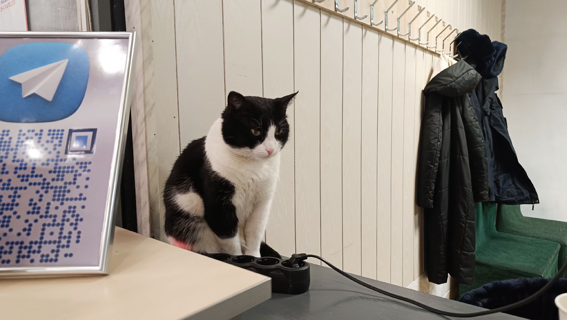 выбирает подмосковье, выбор 2024, лобня,