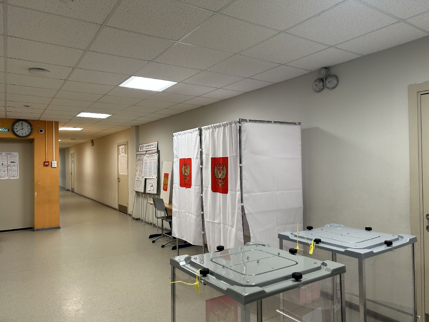 голосование, выборы президента, фрязино,