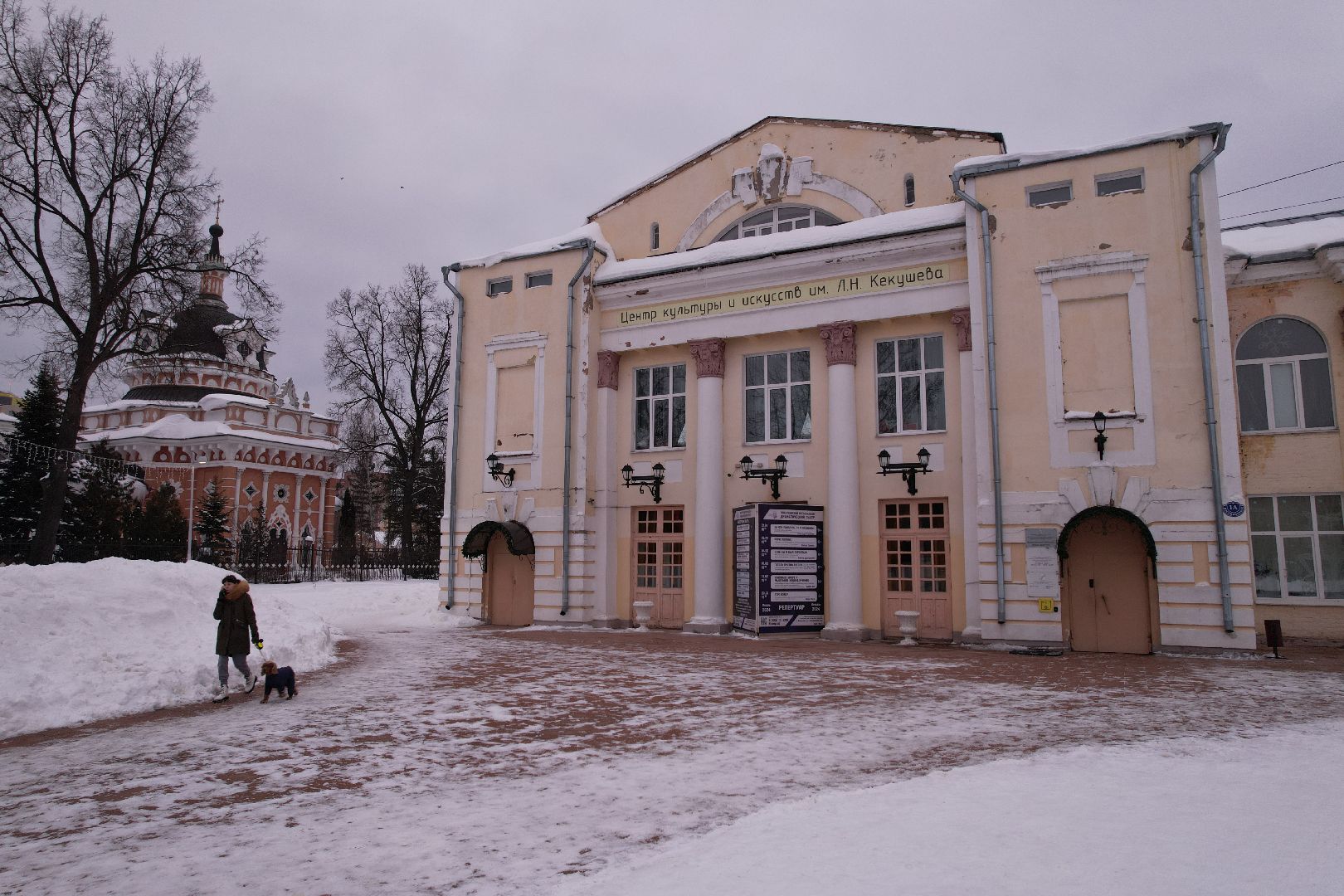 видео с коптера, пушкино, школа,