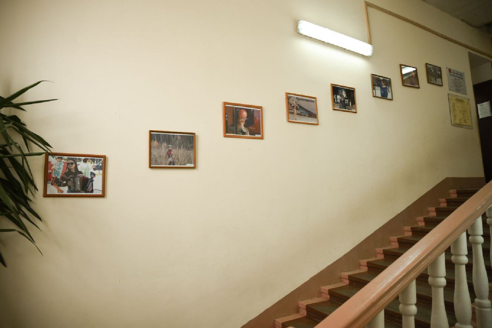 Бронницы, Фотовыставка, Музей истории города Бронницы, Фотовыставка в Бронницах, Фотограф,