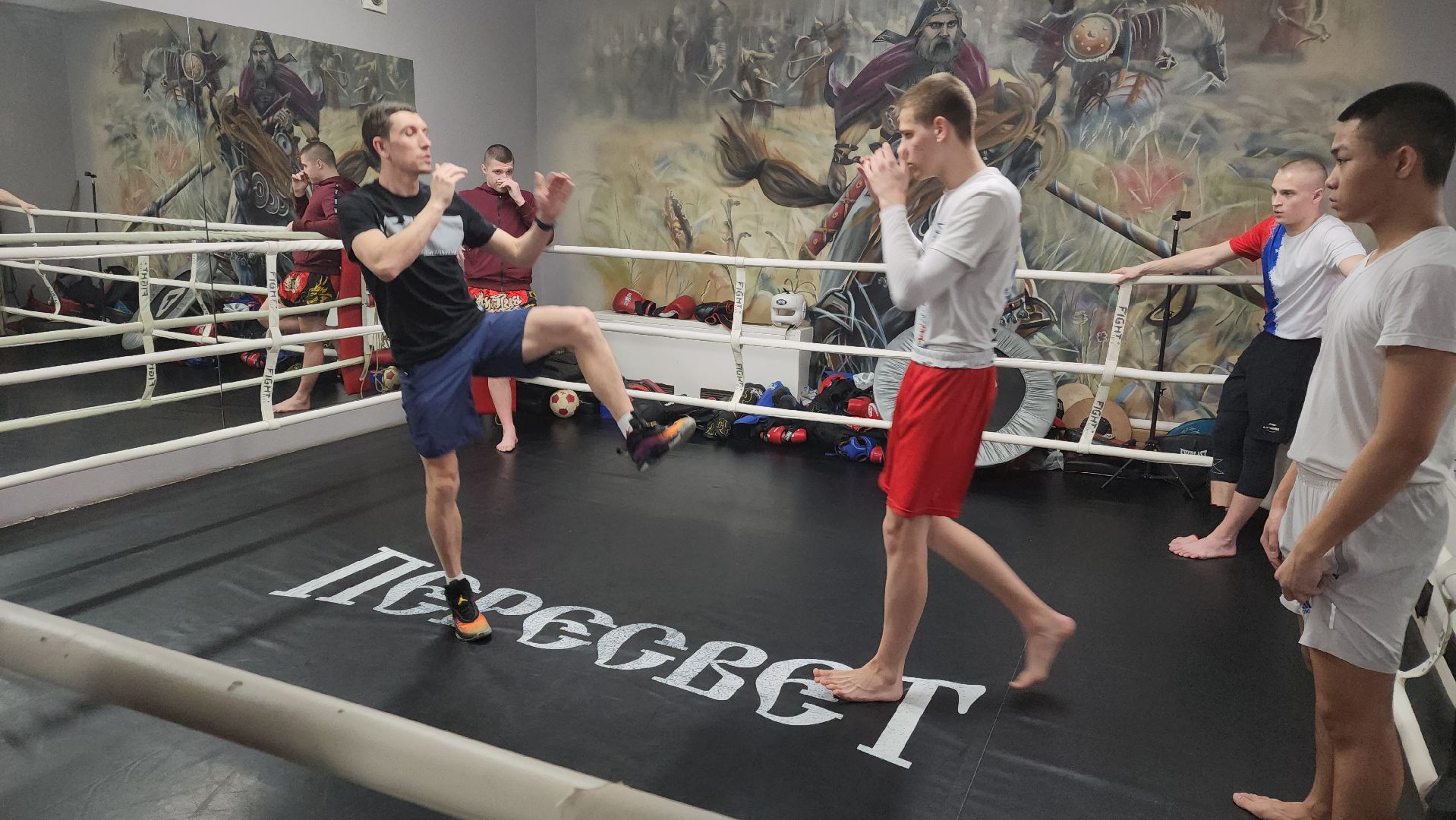 Реутов, спорт, бокс, кикбоксинг, чемпионат,