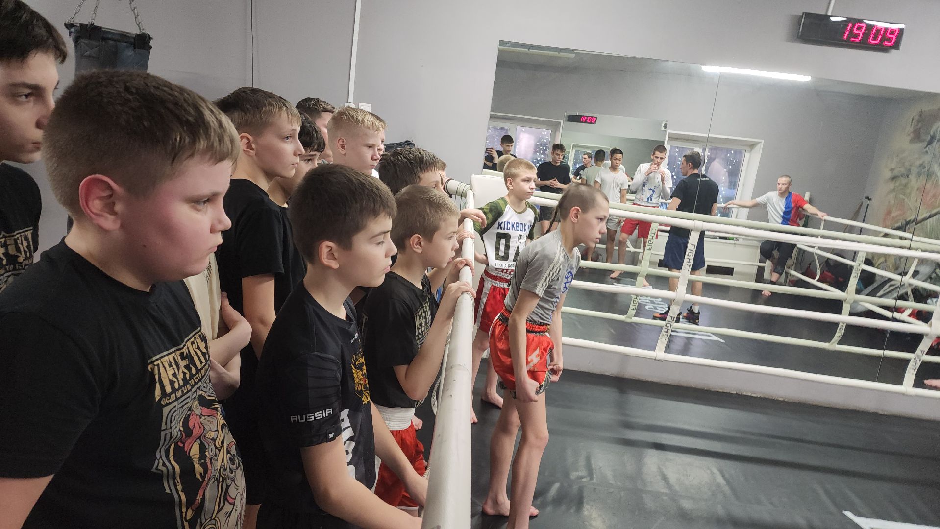 Реутов, спорт, бокс, кикбоксинг, чемпионат,