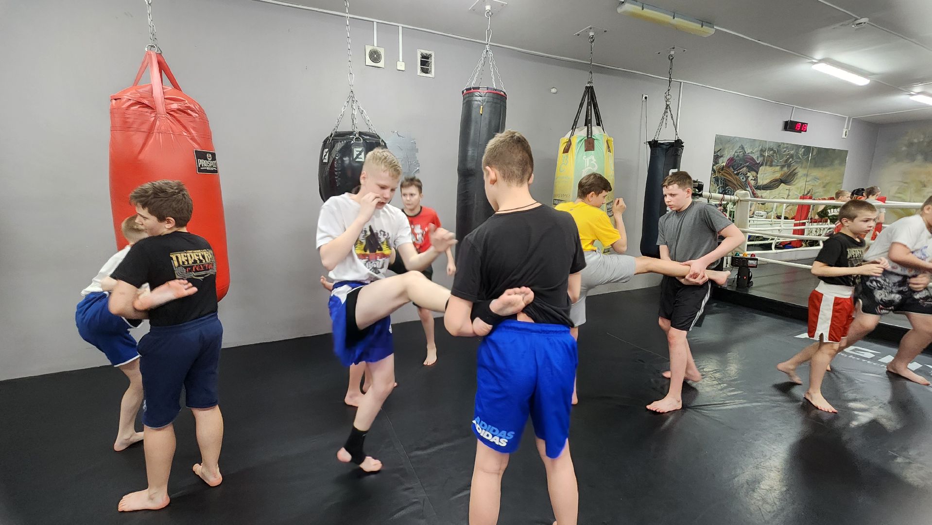 Реутов, спорт, бокс, кикбоксинг, чемпионат,