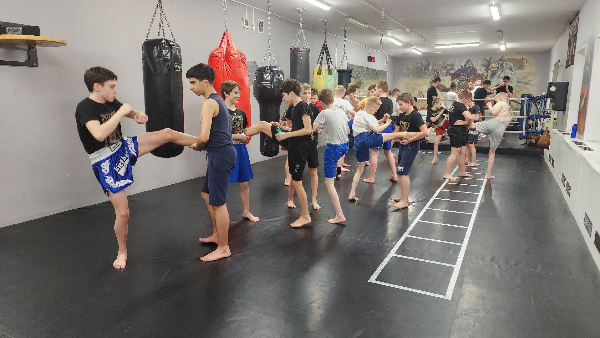 Реутов, спорт, бокс, кикбоксинг, чемпионат,