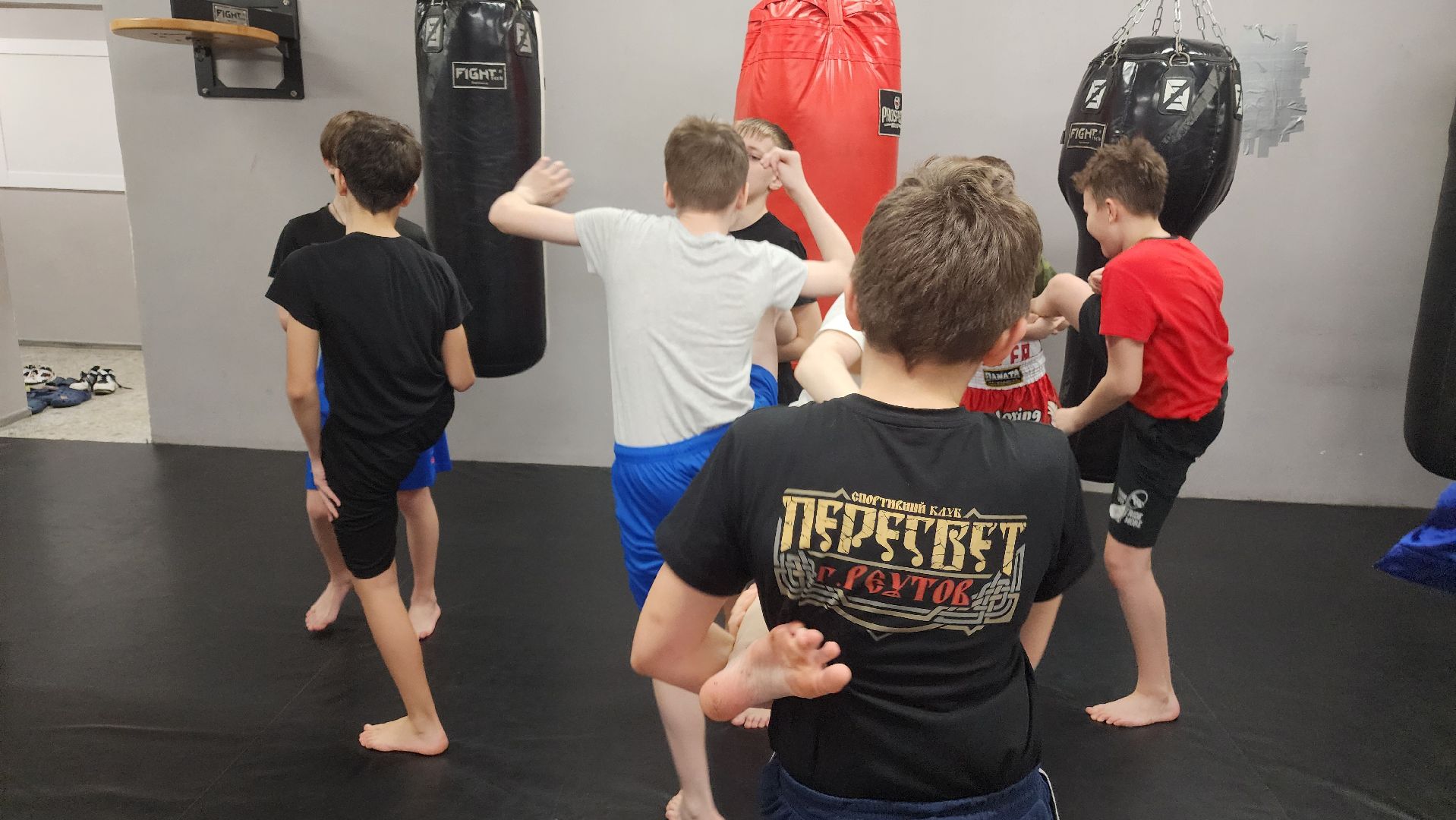 Реутов, спорт, бокс, кикбоксинг, чемпионат,