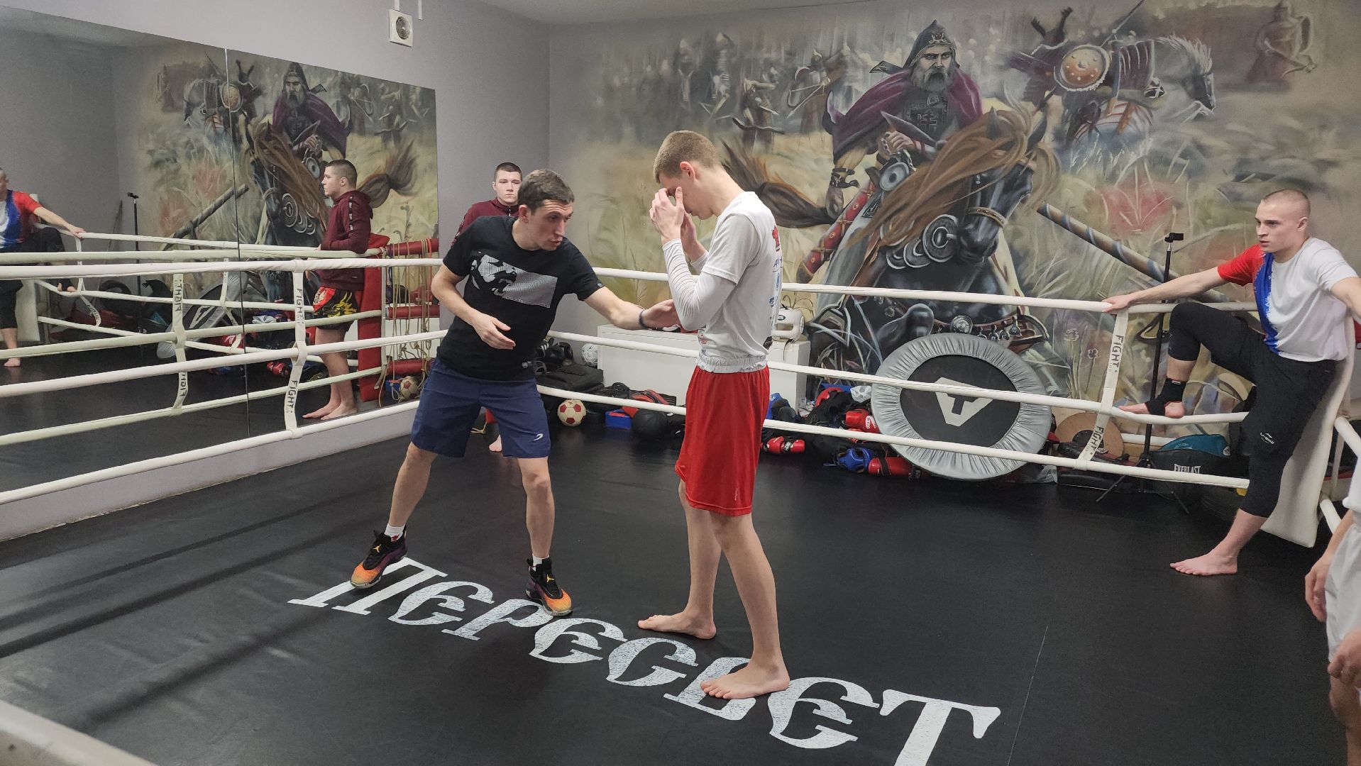 Реутов, спорт, бокс, кикбоксинг, чемпионат,