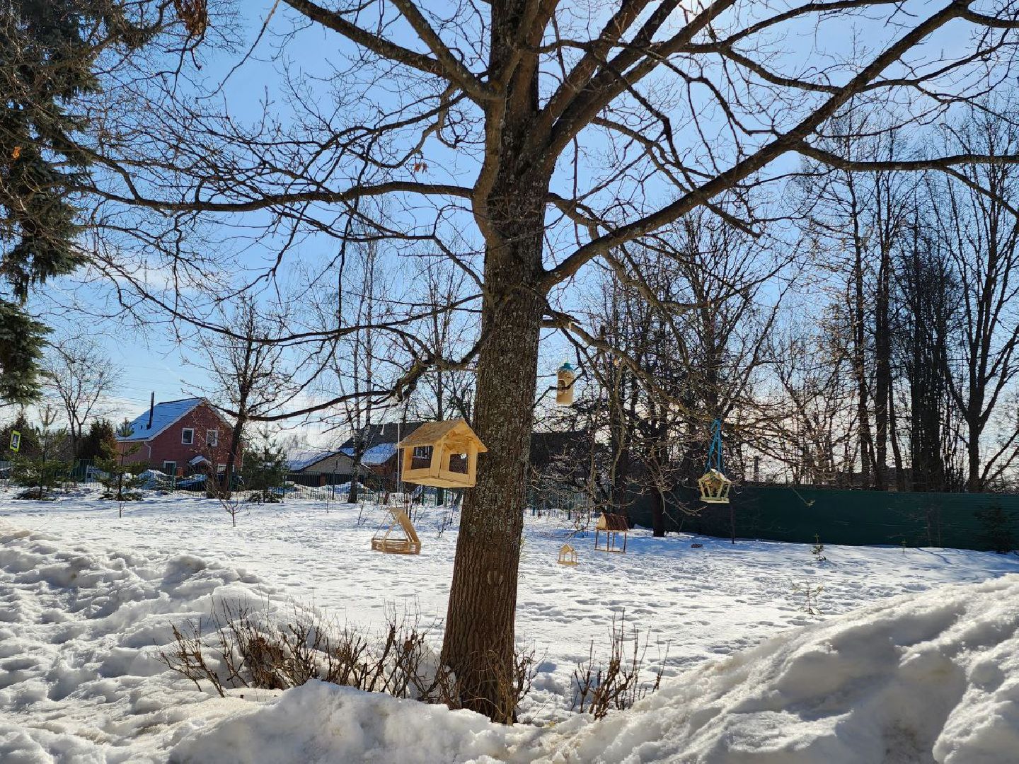 чехов, образование, экоурок, мусор, мегабак, дети, школа,