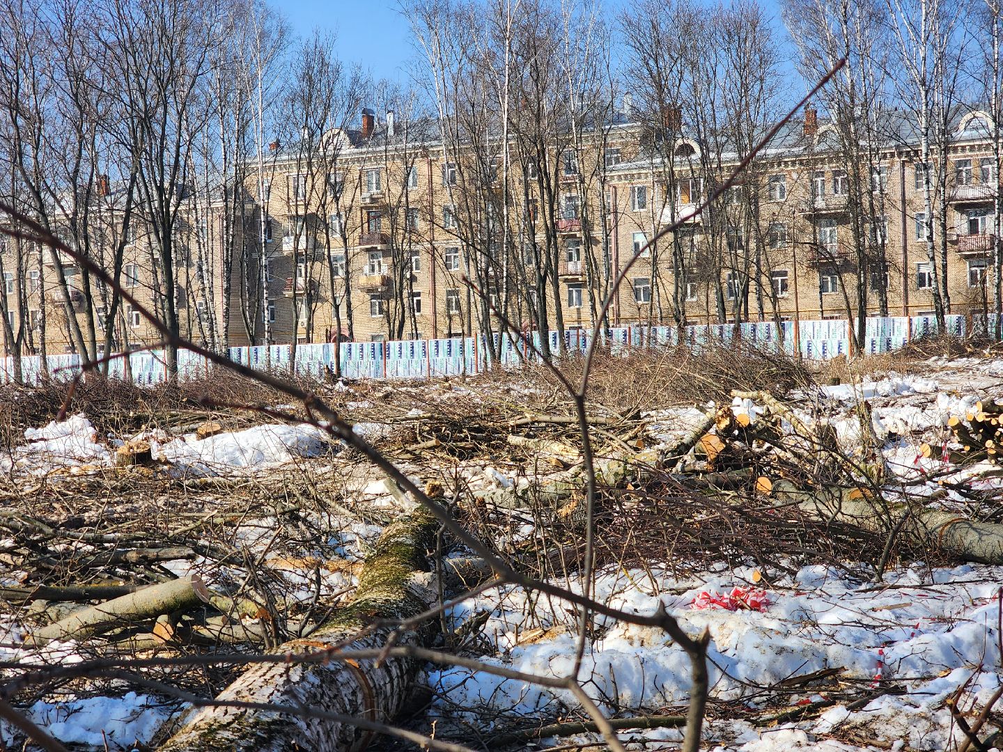 королёв,