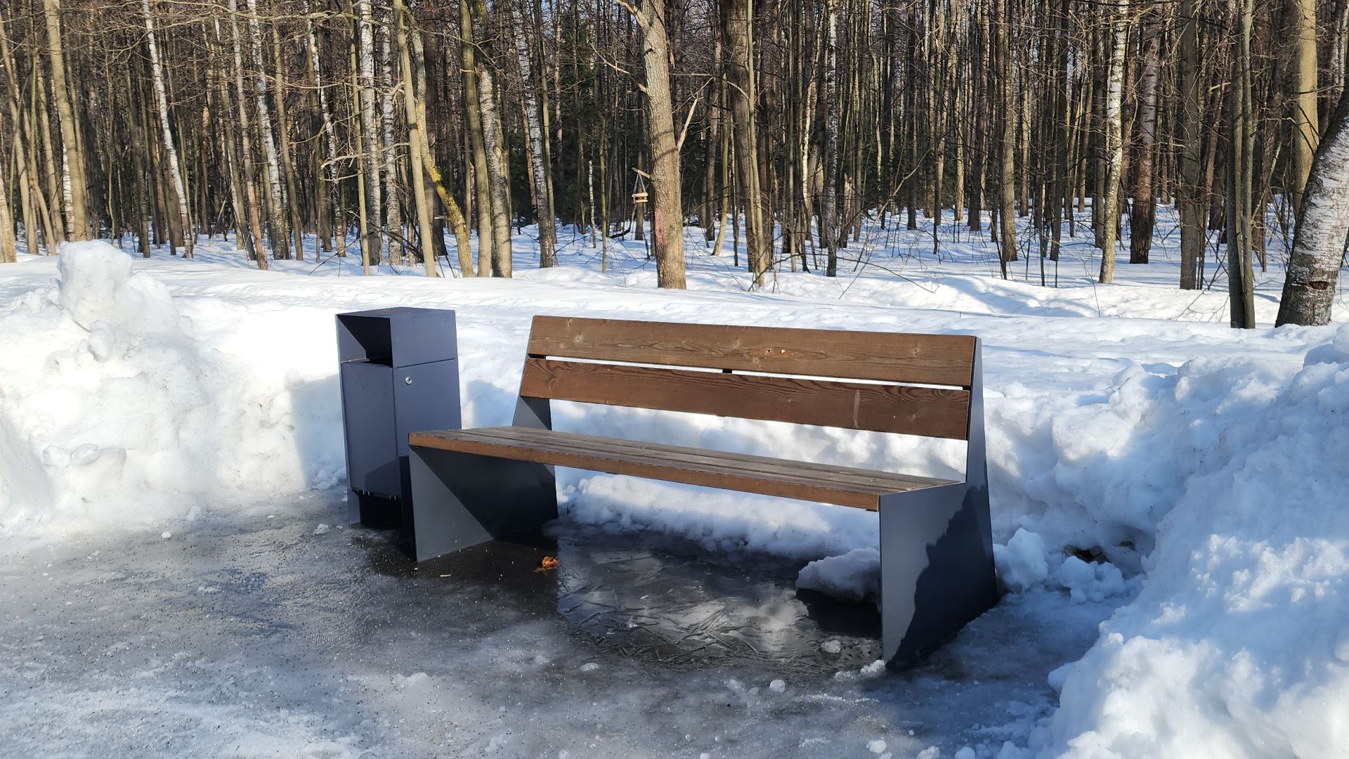 электросталь, мой город, жители города, благоустройство, благоустройство 2024, благоустройство парков, выездная администрация, обращение жителей, весна в парке, весна в подмосковье,