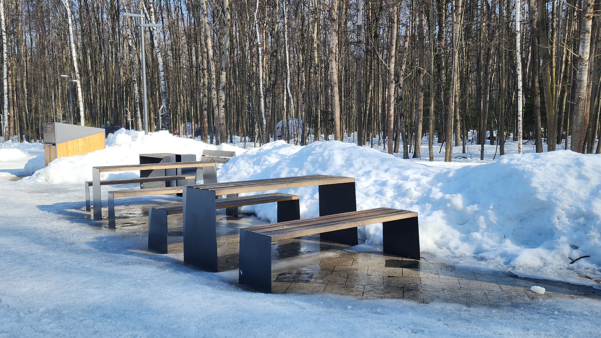 электросталь, мой город, жители города, благоустройство, благоустройство 2024, благоустройство парков, выездная администрация, обращение жителей, весна в парке, весна в подмосковье,