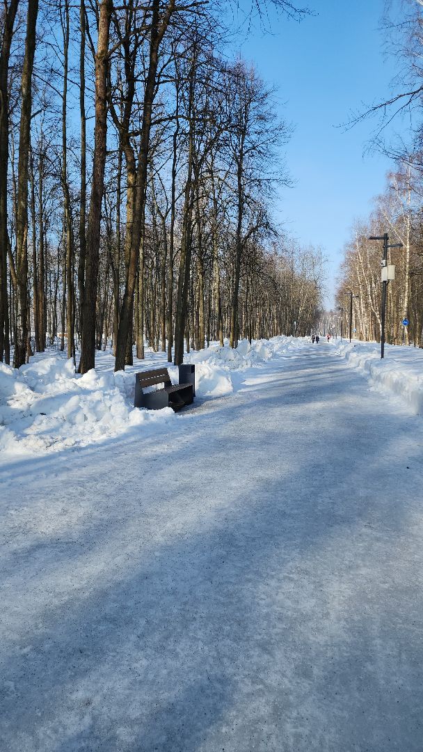 электросталь, мой город, жители города, благоустройство, благоустройство 2024, благоустройство парков, выездная администрация, обращение жителей, весна в парке, весна в подмосковье,
