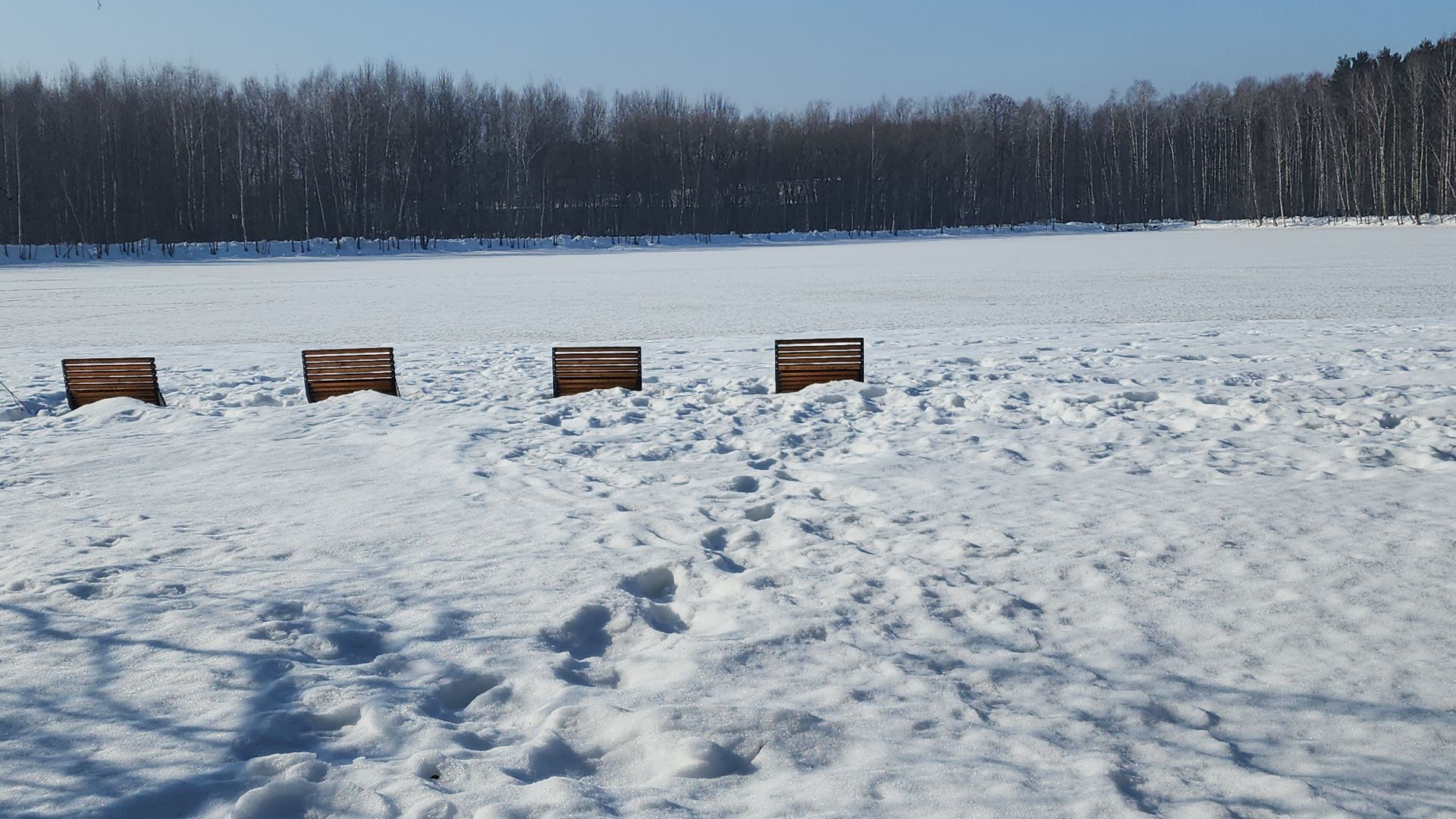 электросталь, мой город, жители города, благоустройство, благоустройство 2024, благоустройство парков, выездная администрация, обращение жителей, весна в парке, весна в подмосковье,