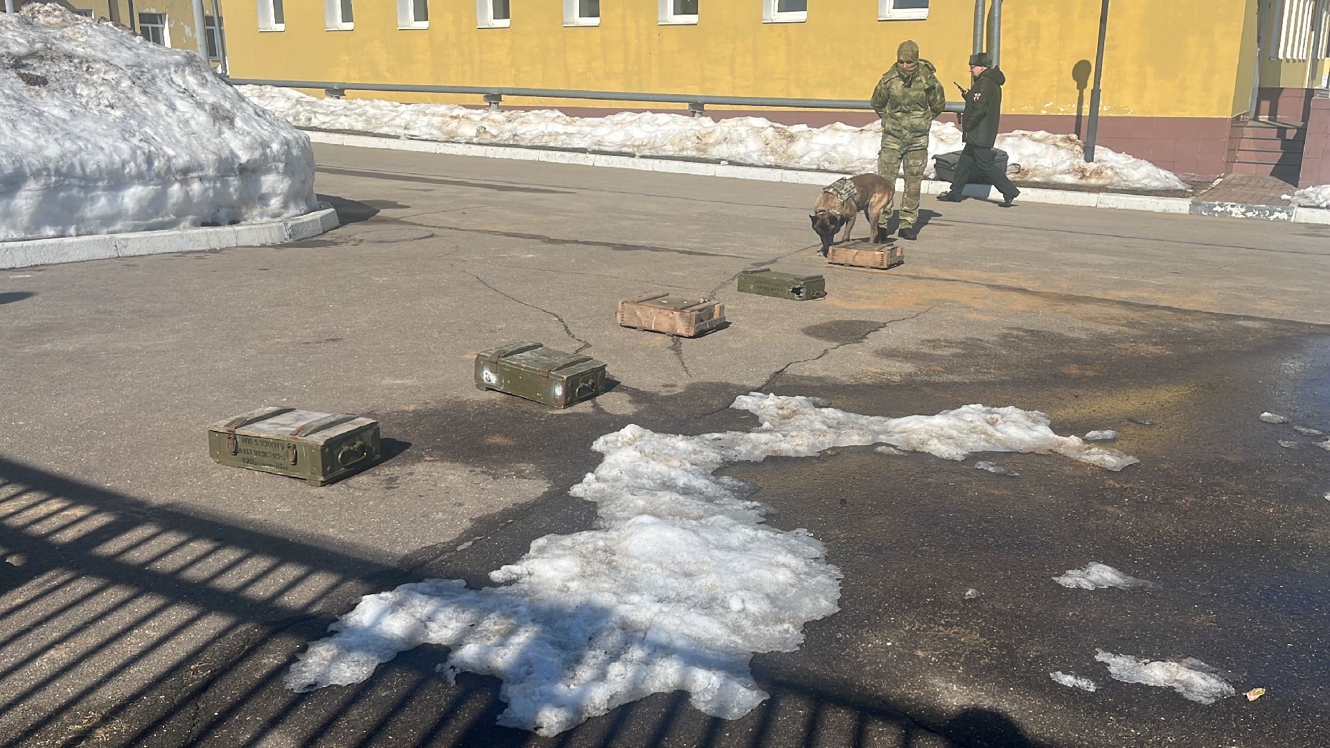 служебная собака, награда,