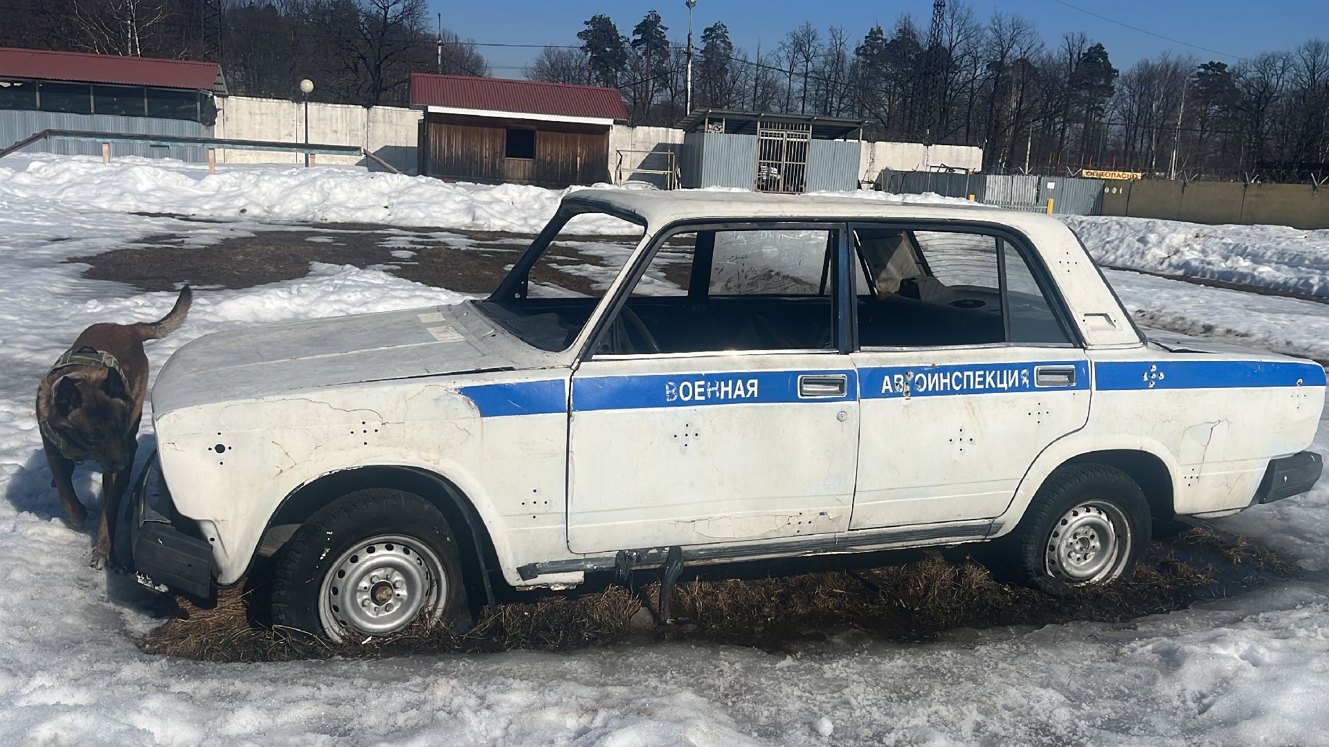 служебная собака, награда,