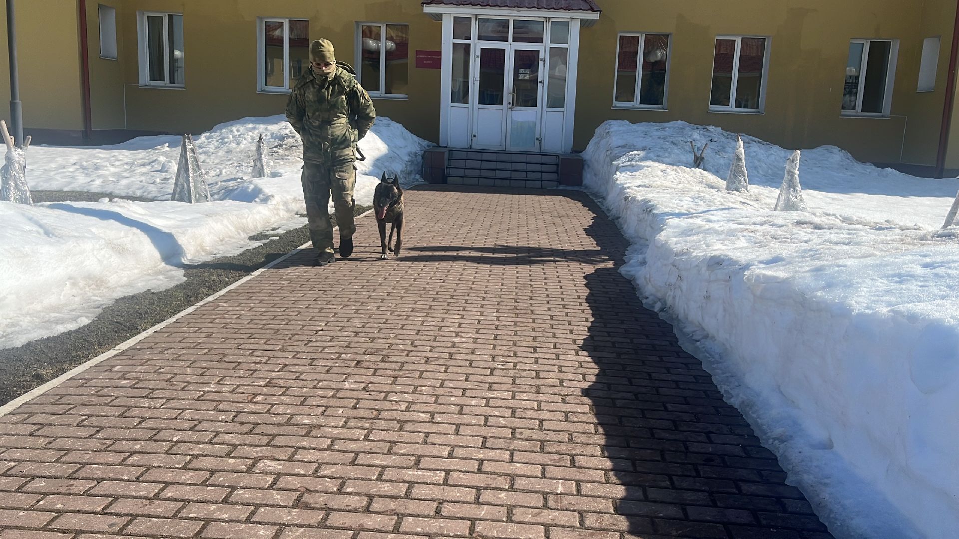 служебная собака, награда,